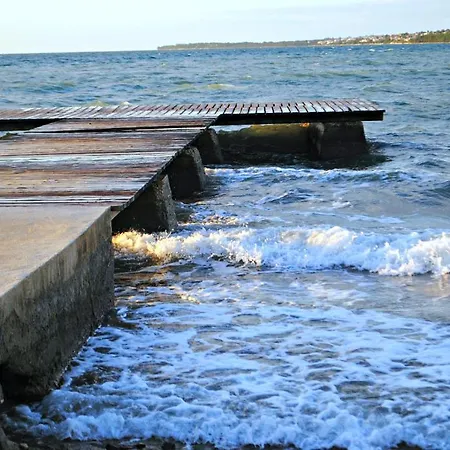 Ana * Zadar