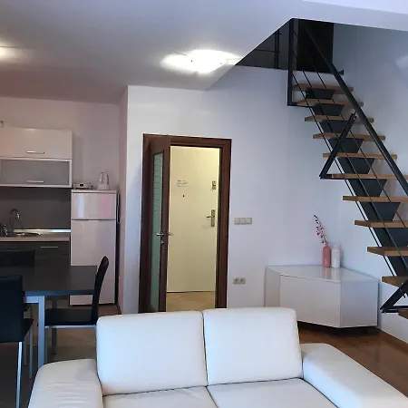 Ana Zadar